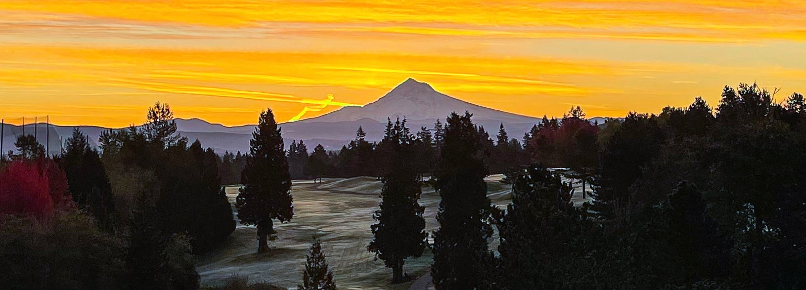 MAD LOVE OREGON
